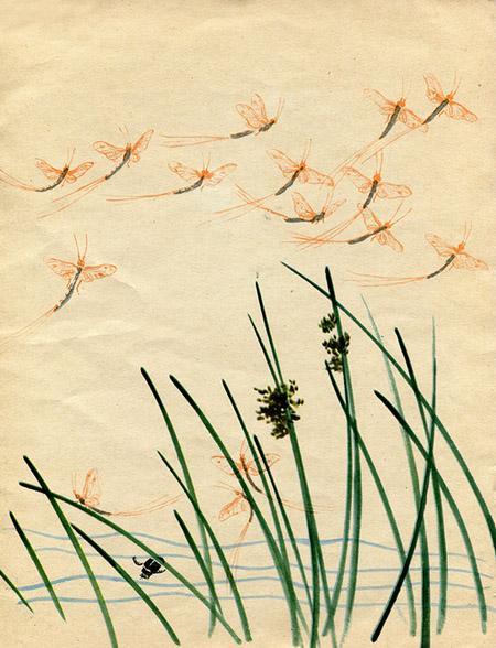 Метельки или тысяча и один день над водой