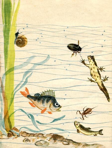 Метельки или тысяча и один день окунь