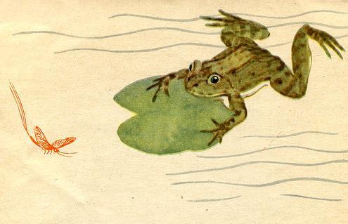 Метельки или тысяча и один день лягушка