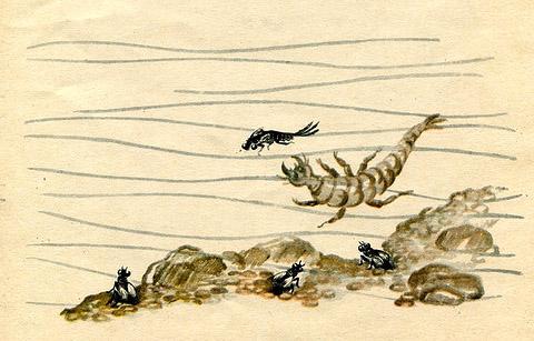 Метельки или тысяча и один день под водой