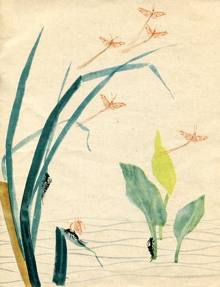 Метельки или тысяча и один день все вылезли из воды