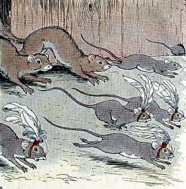 Мыши и ласки