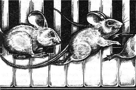 Мышонок по имени Вольф