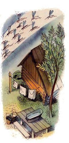 Младший брат (стих Агнии Барто) Младший брат