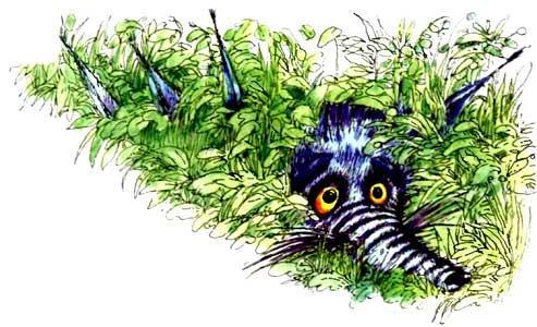 Мохнатая азбука (стихи Бориса Заходера) Южный ктототам