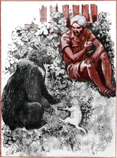 Мой друг Бобби (повесть) Мой друг Бобби