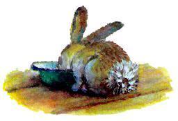 Лупленый бочок (рассказ) заяц