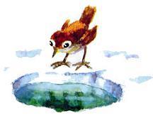 Сумасшедшая птица