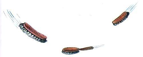 Мойдодыр щетки трещетки