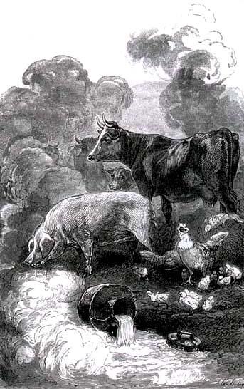 Молочница и горшок с молоком (басня) Молочница и горшок с молоком