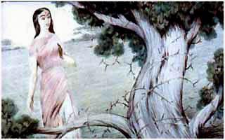 Мотхо и Мунго (сказка) Мотхо отправилась в путь