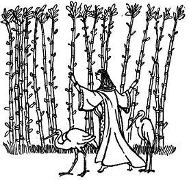 Мотылек, который топнул ногой (сказка) Мотылек, который топнул ногой