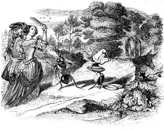 Муха и пчела