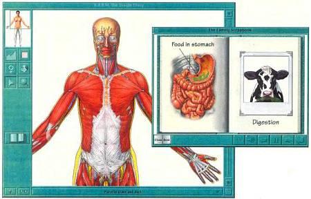 Мультимедийный курс анатомии. Картинки, пояснения и мультипликация знакомят вас со строением и функционированием органов человека.
