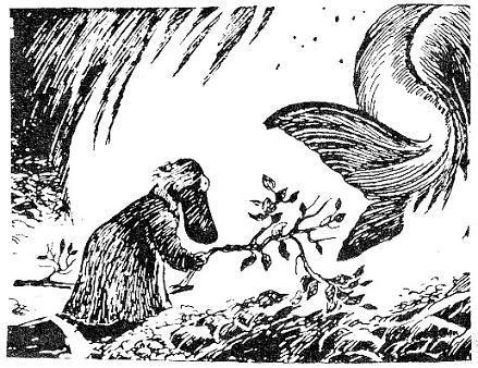 Муми-тролль: Шляпа волшебника (сказка-повесть) Хемуль развел огонь рыбий хвост