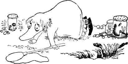 хемуль с сачком собирает насекомых