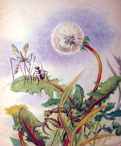 Сидит Мураш. Стрекозу дожидается. Подсел к нему долгоногий-долгоногий комар Карамара.