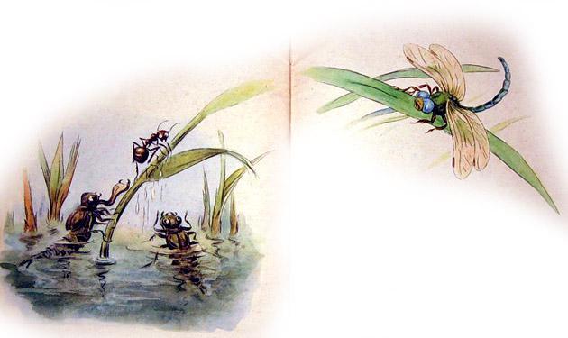  Что ты, что ты?! — говорит Стрекоза. — Какие уроды? Это детки мои — красавчики. Выросли-то как!