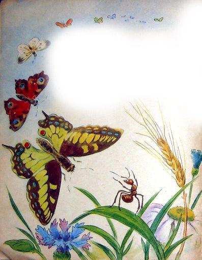 муравей и бабочка