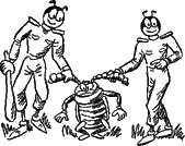 Муравьи поймали жука