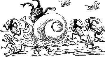 насекомые бегут