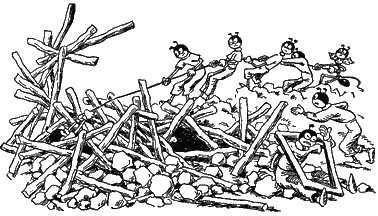 Муравьи разбирают завалы