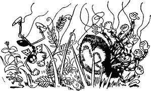 муравей Ферда разорвал паутину и упал с пауком на землю