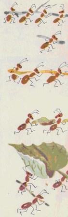 Добрый великан 15