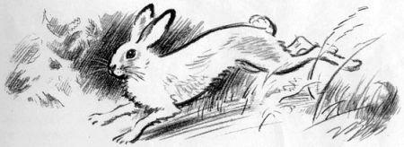 На берегах Себерянки