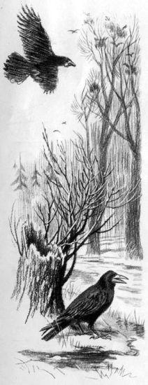 На берегах Себерянки