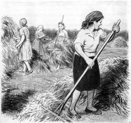 На берегах Себерянки