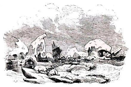 На краю моря в Антарктиде