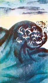 Находчивый заяц