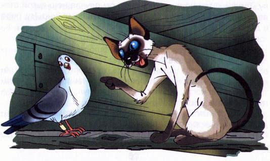 кот и голубь