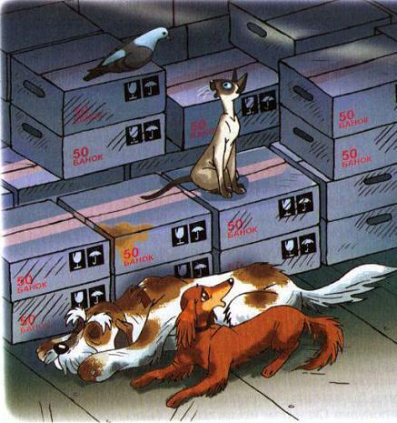 собаки и кот на складе