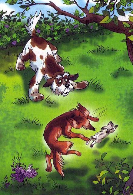 Найти Белую Лошадь (повесть) собаки поймали зайца