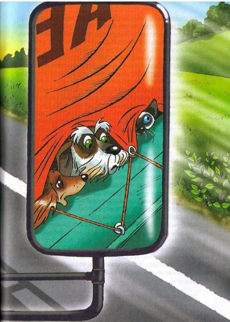 Найти Белую Лошадь