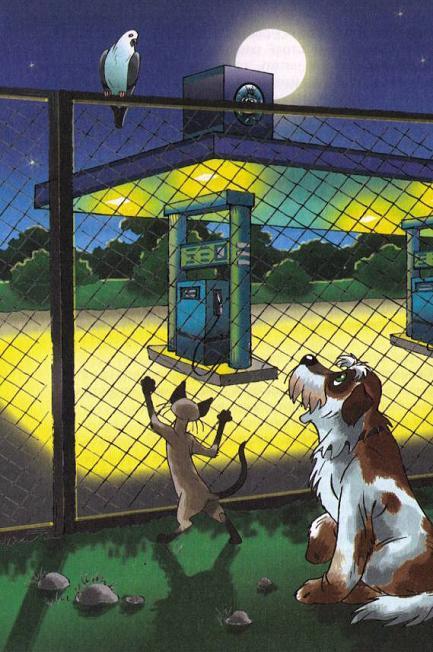 Найти Белую Лошадь