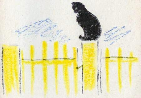 кот на заборе