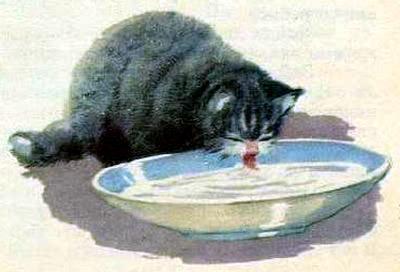 Загадка (рассказ) котик пьет молоко