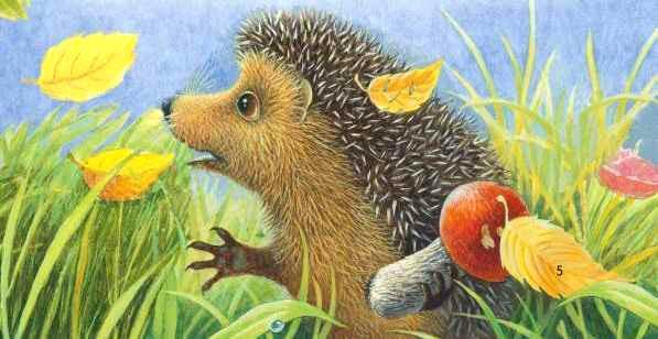 Не ладно скроен, да крепко сшит (Заяц и ёж) (рассказ) ёж