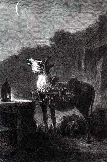 Недовольный осел