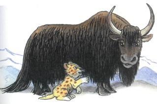 Сказка: Непонятливый львёнок (иллюстрации: Сутеев В.) львеное и як бык вол буйвол