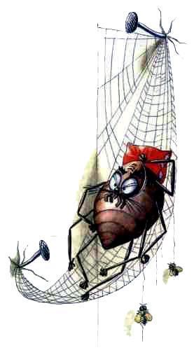 паук лег спать