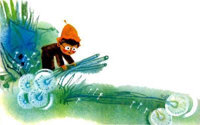 Знайка собирает одуванчики для парашютов