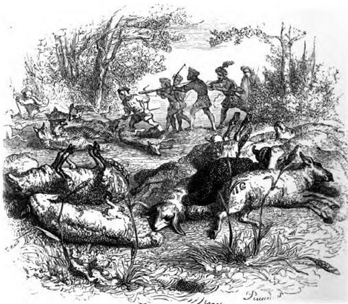 Ничего лишнего