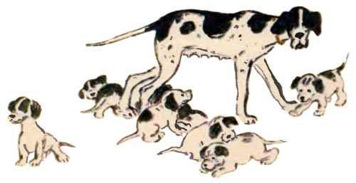 Новые имена (рассказ) собака и щенки