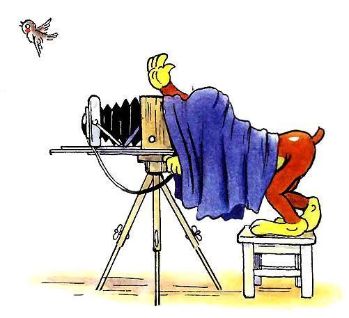 Пиф фотографирует