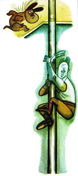 Нублик (сказки) Нублик