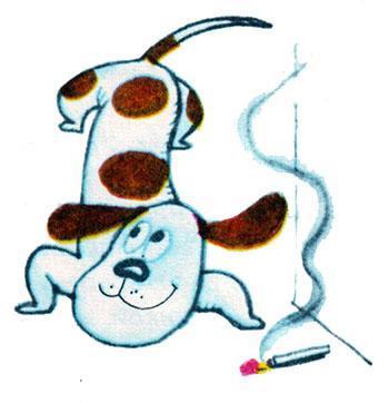 Нублик (сказки) Нублик